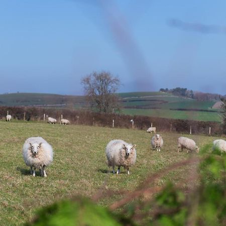 Beautiful Countryside Cottage On The North Wales Coast Abergele Luaran gambar