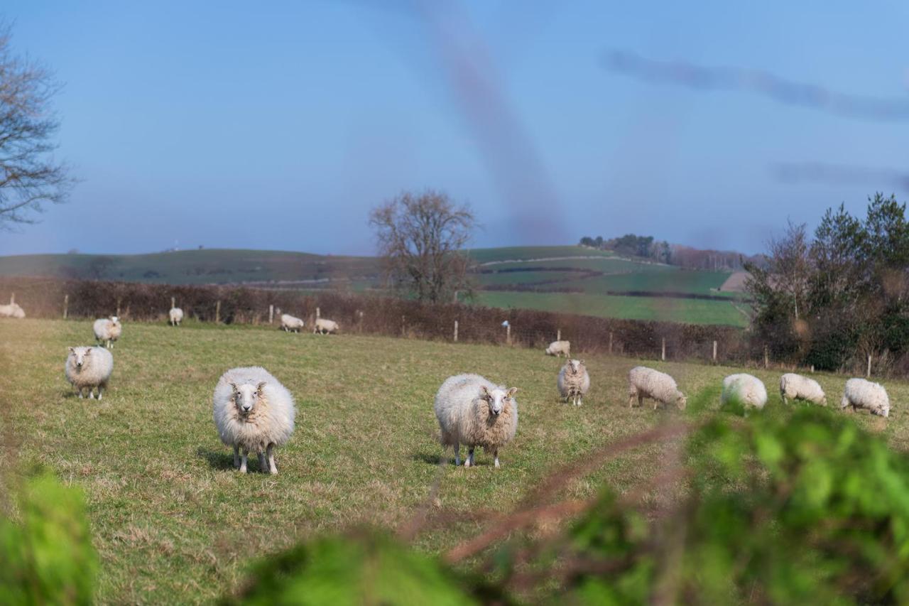Beautiful Countryside Cottage On The North Wales Coast Abergele Luaran gambar